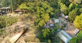 পাবনায় হুমকির মুখে আকাশকলি দাসের পাখির রাজ্য